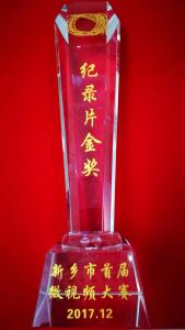 奖杯：纪录片金奖