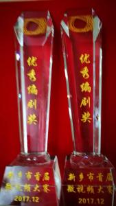 奖杯：两项优秀编剧奖